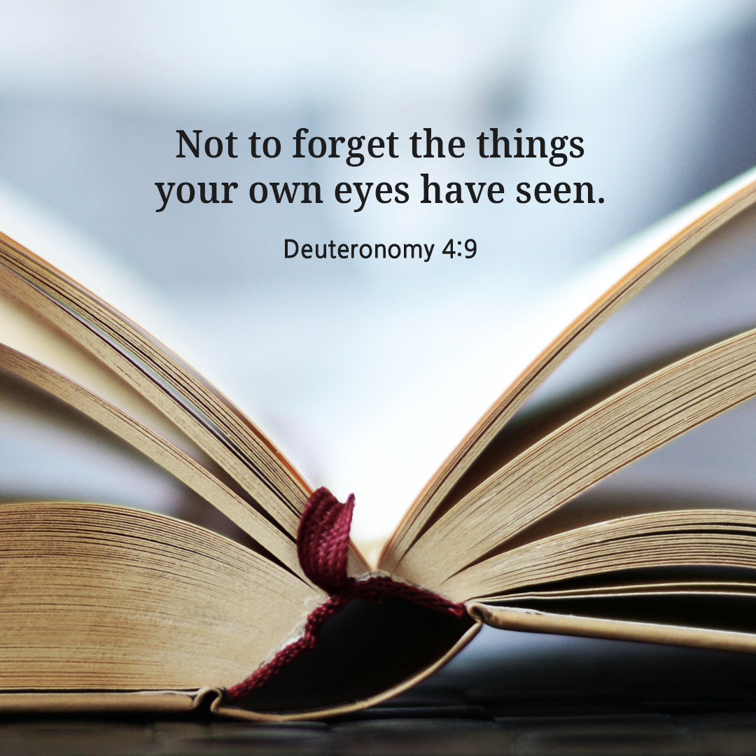Not to forget the things your own eyes have seen. (Deuteronomy 4:9)