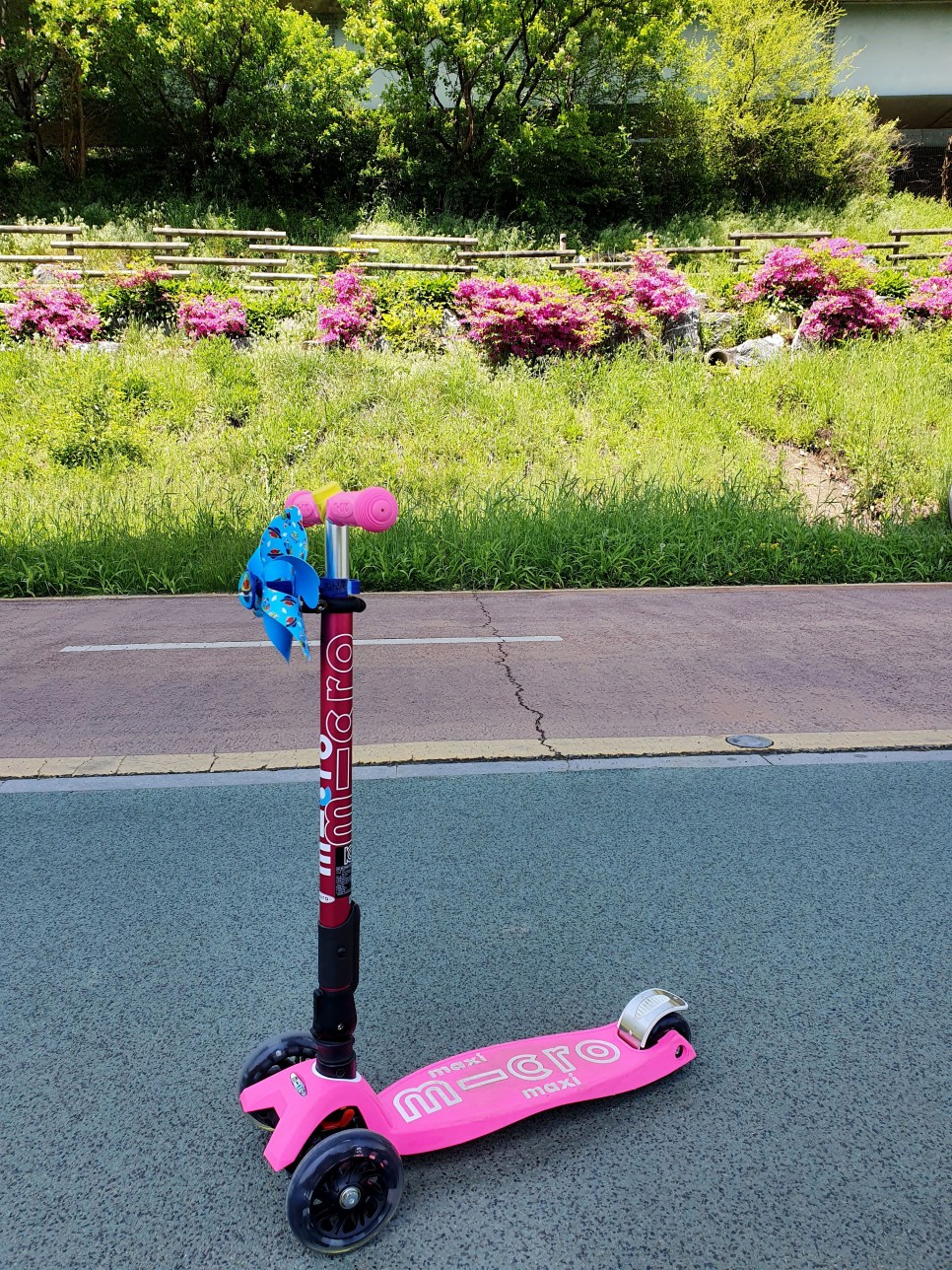 매장구매&6개월사용 리뷰(feat.교통사고ㅠㅠ) 마이크로킥보드 맥시T 폴더블 디럭스 쇼킹핑크 12