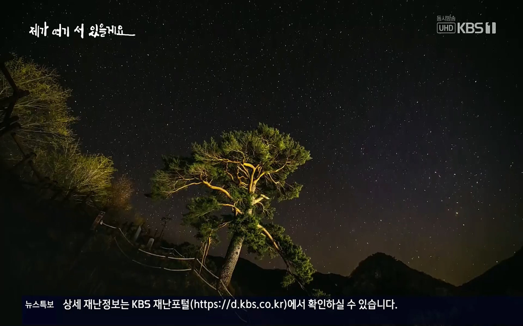 다큐 인사이트.E124.220908p.H264-F1RST.mp4_20220912_143731.699.jpg