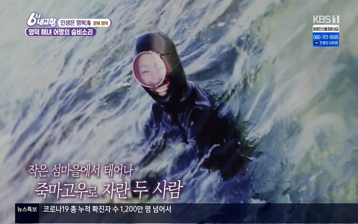 6시 내고향.E7498.220329p.H264-F1RST.mp4_20220329_183805.134.jpg