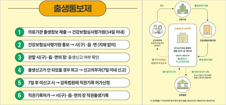 출생통보제