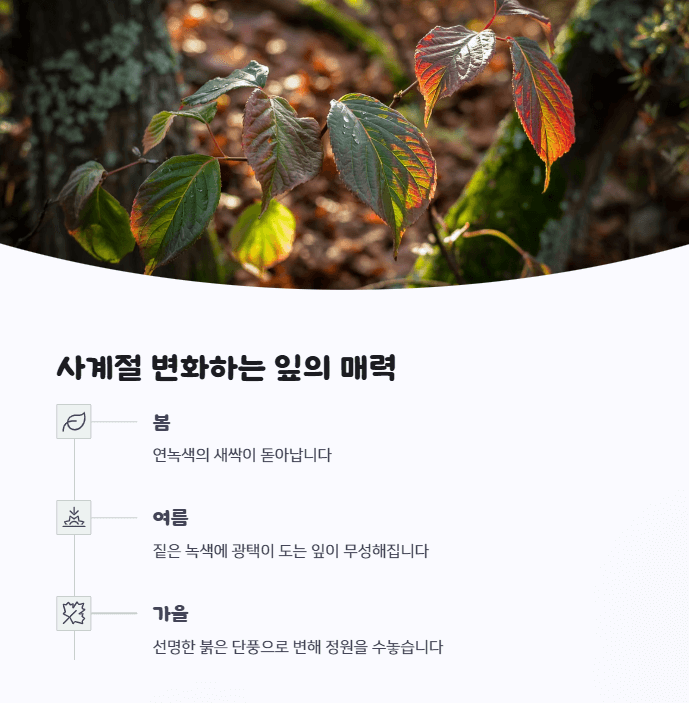 산딸나무 잎