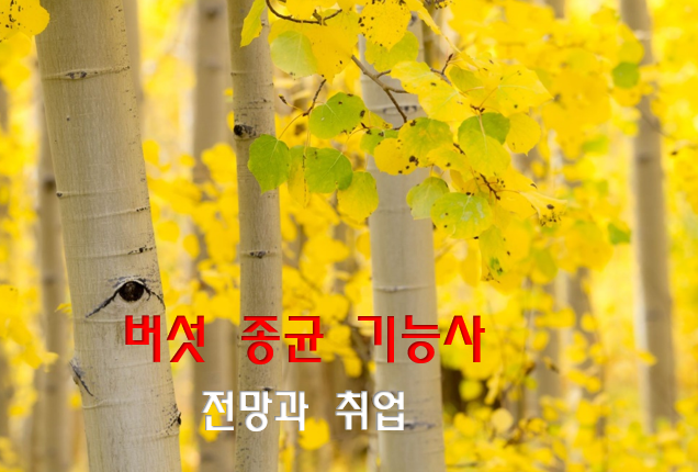  버섯종균기능사 전망및 취업 현실