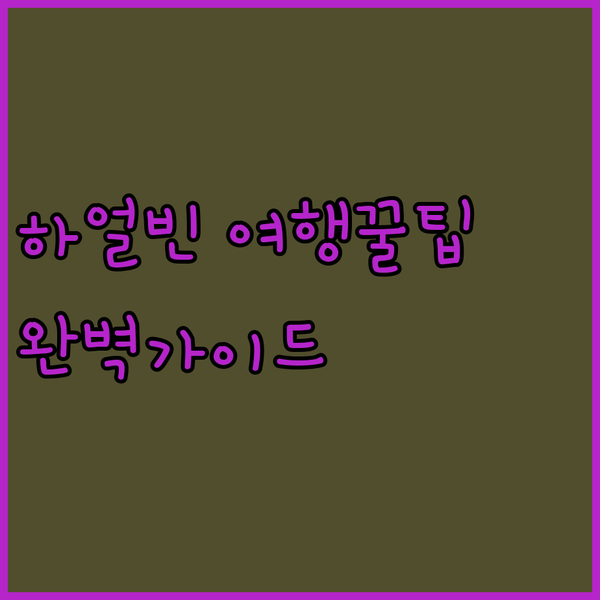 하얼빈 여행 꿀팁 공항 호텔 선택 완