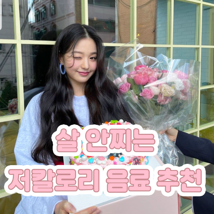  다이어터들을 위한 살 안찌는 저칼로리 음료 추천 Top 9