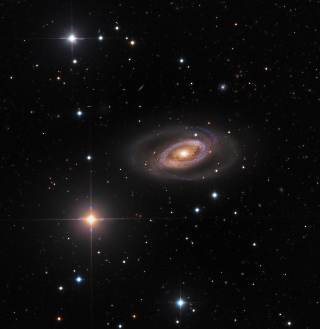  Spiral Galaxy NGC 1350