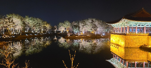 경주 안압지 야경