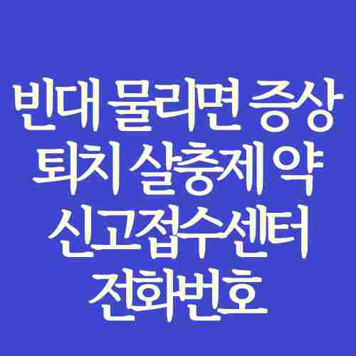 빈대-물리면-증상-퇴치-약-신고-접수센터-전화번호-정보-정리-사진