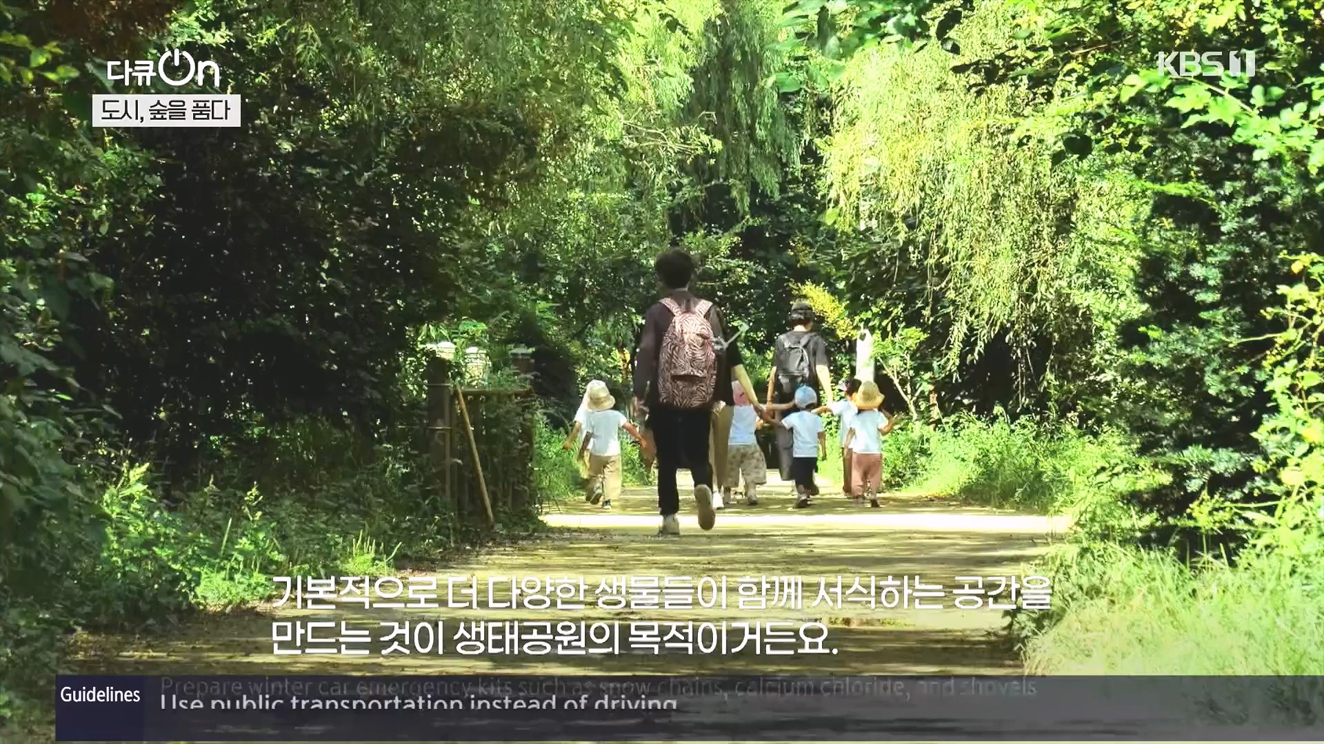 다큐 On.E232.231216p.H264-F1RST.mp4_20231220_212226.233.jpg