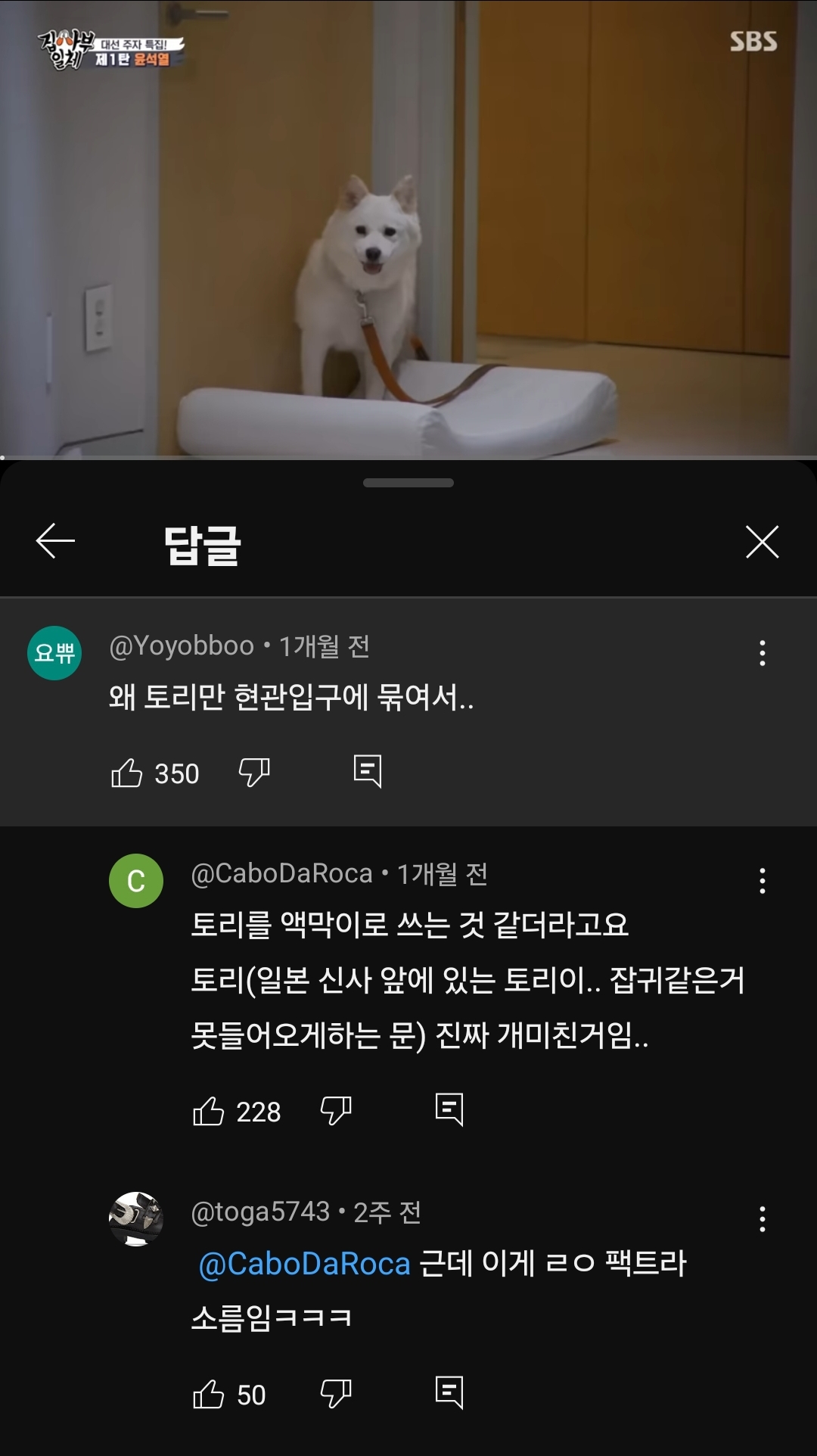 제1판 표석열
답글
요뿐
@Yoyobboo
1개월 전
왜 토리만 현관입구에 묶여서..
350
SBS
C
@CaboDaRoca •
1개월 전
토리를 액막이로 쓰는 것 같더라고요
토리(일본 신사 앞에 있는 토리이.. 잡귀같은거 못들어오게하는 문) 진짜 개미친거임..
228
X
@toga5743
2주 전
@CaboDaRoca 근데 이게 ㄹㅇ 팩트라
소름임ㅋㅋㅋ
50