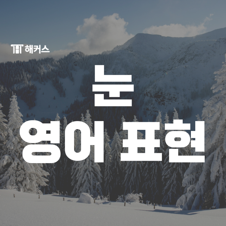  겨울 날씨 영어 표현, 함박눈, 폭설, 서리 영어로 말하는 법!