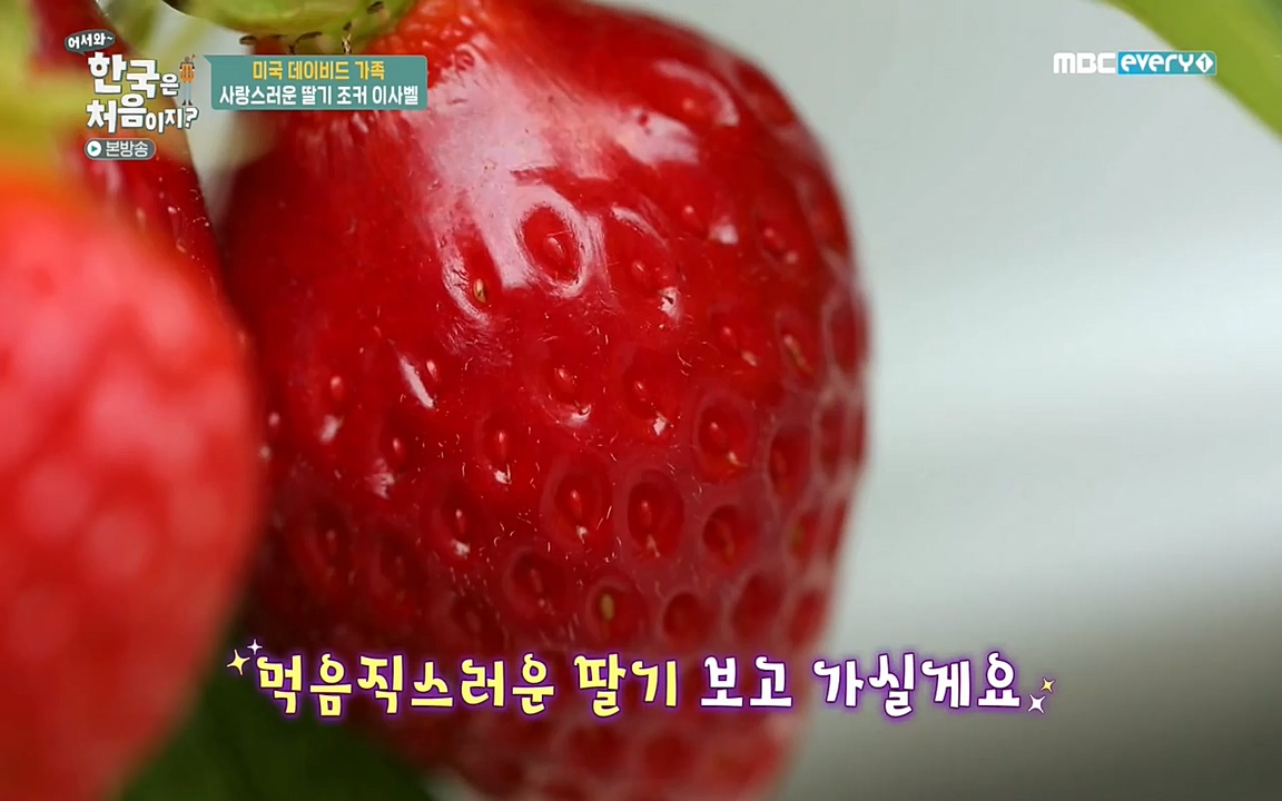 어서와 한국은 처음이지 시즌2.E206.220415p-NEXT.mp4_20220415_181253.340.jpg
