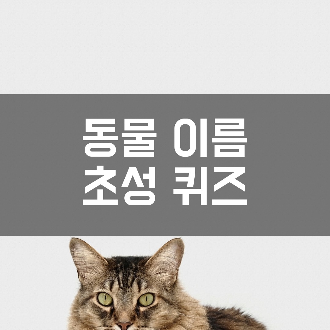  동물 이름 초성퀴즈 문제