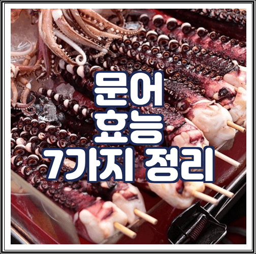  문어 효능 7가지 정리