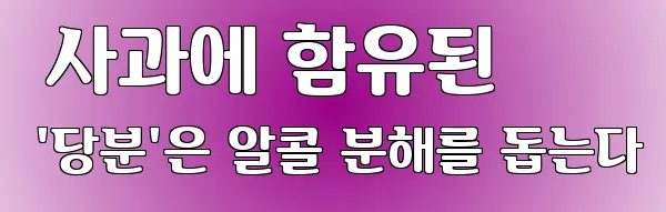  사과에 함유된 '당분'은 알콜 분해를 돕는다