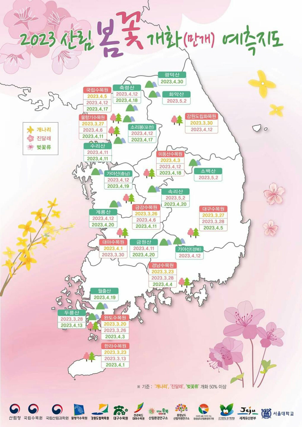  2023년 벚꽃 매화 개나리 진달래 개화지도 4월 가볼만한 곳 꽃나들이 봄나들이 가자!