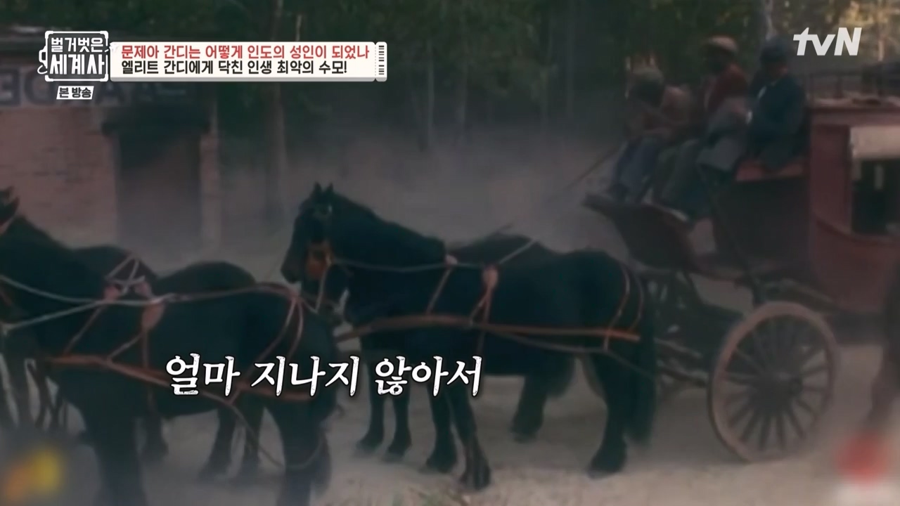 벌거벗은 세계사.E92.230329p-NEXT.mp4_20230425_203918.114.jpg