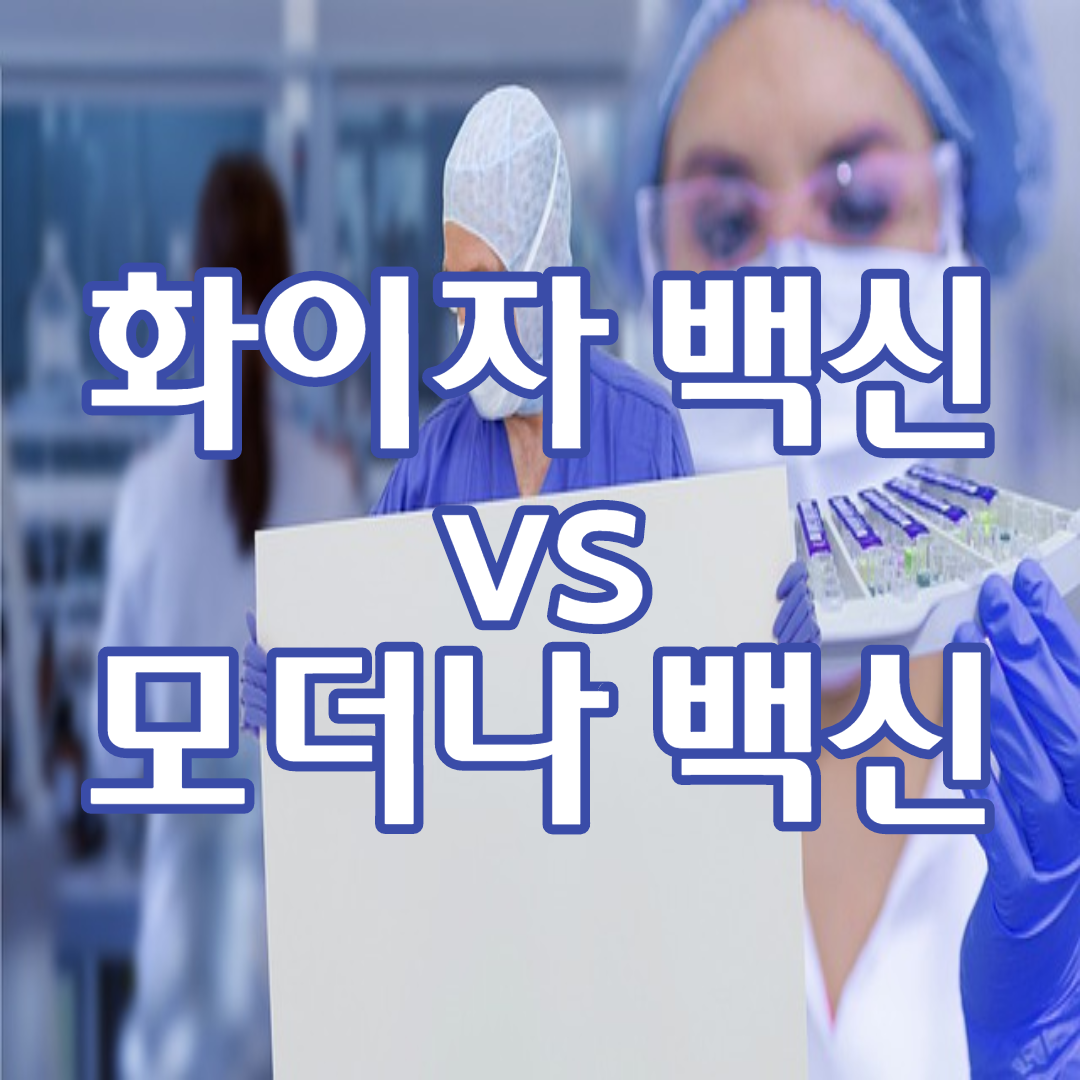  화이자 백신 vs 모더나 백신