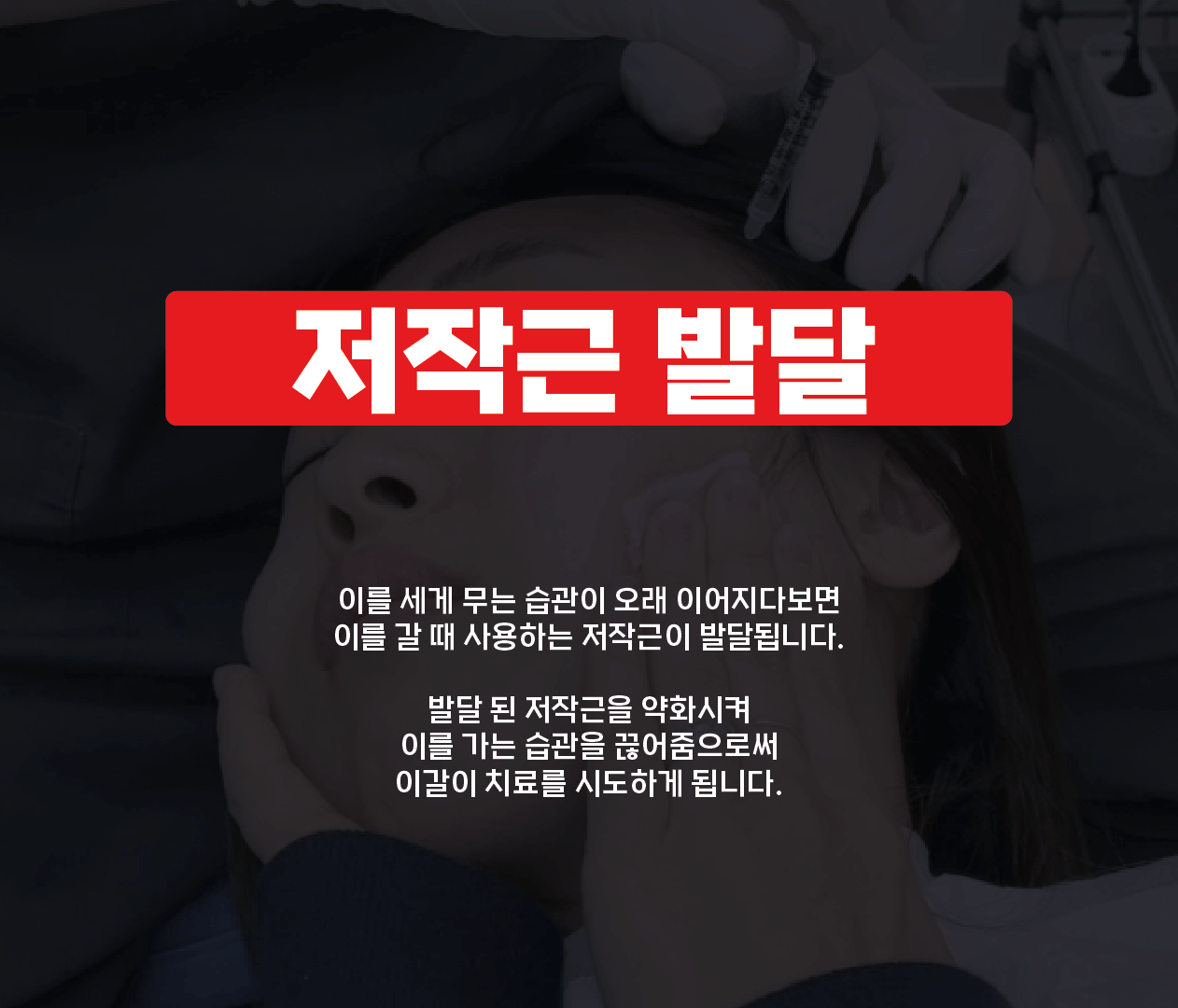 이갈이-저작근