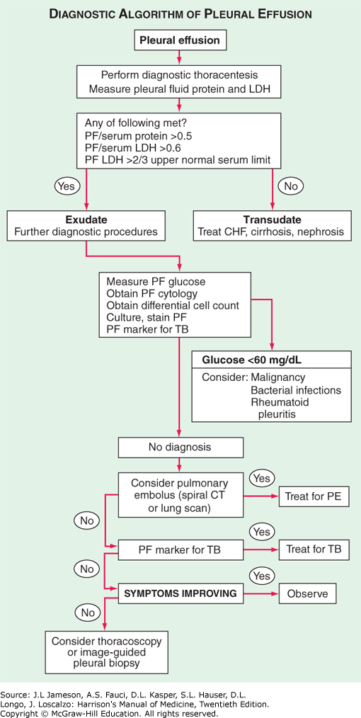 Light's criteria 계산기 (Pleural effusion 이 Transudate 인지 Exudate 인지 구별)