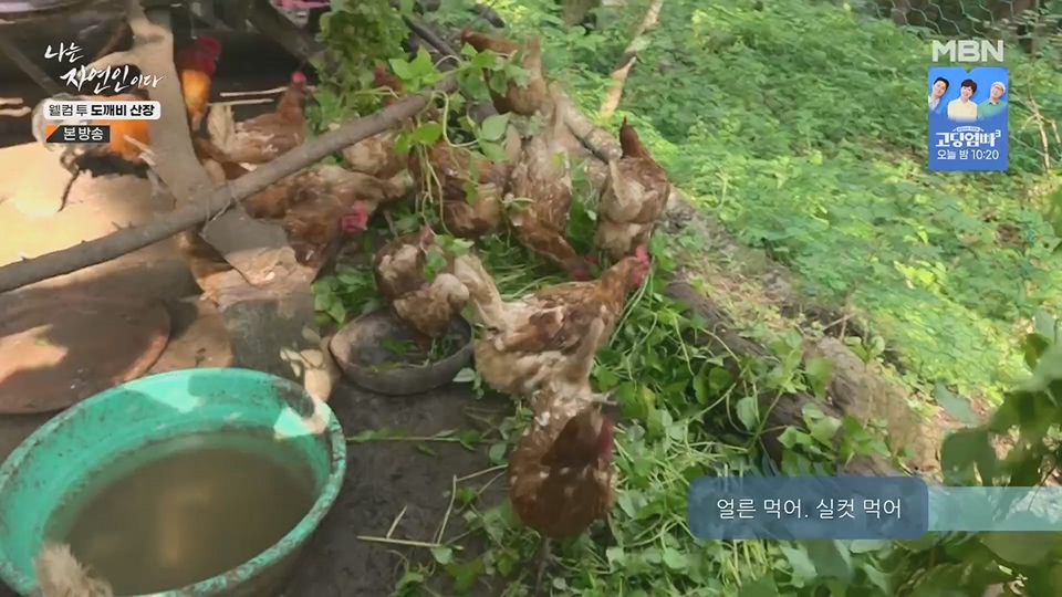 나는 자연인이다.E563.230719p.H264-F1RST.mp4_20230720_214649.952.jpg