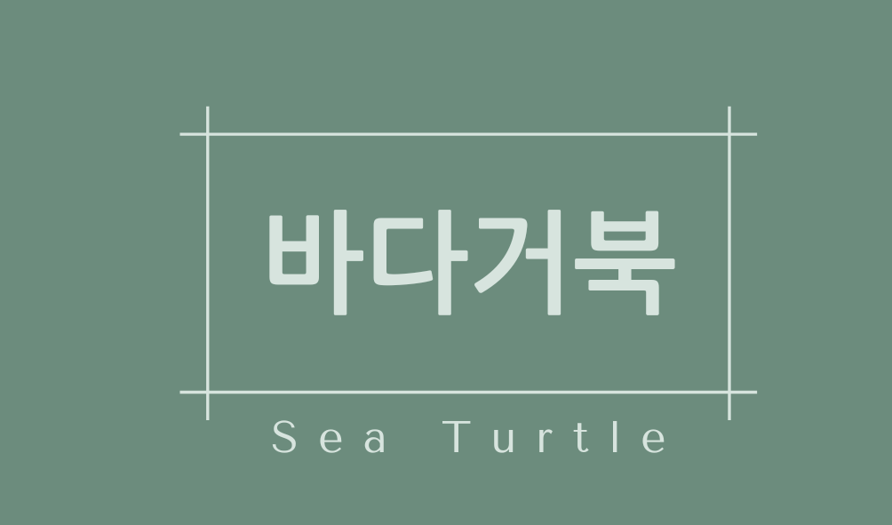 바다거북(Sea Turtle)