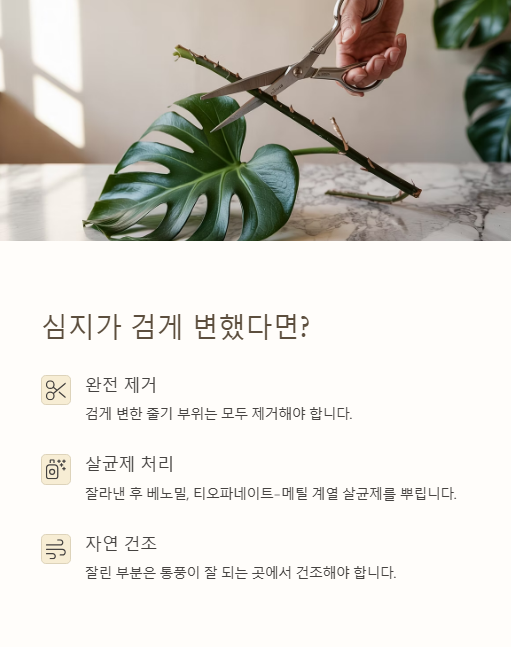 심지가 검게 변했다면?