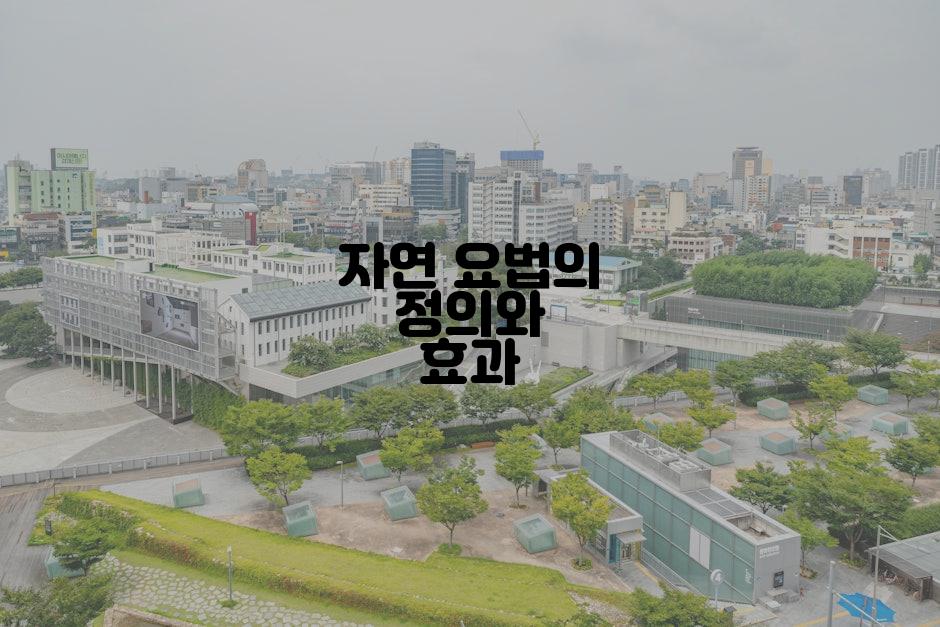 자연 요법의 정의와 효과