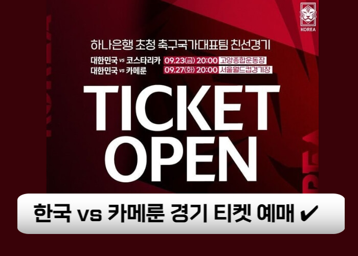 한국-카메룬-경기-티켓예매