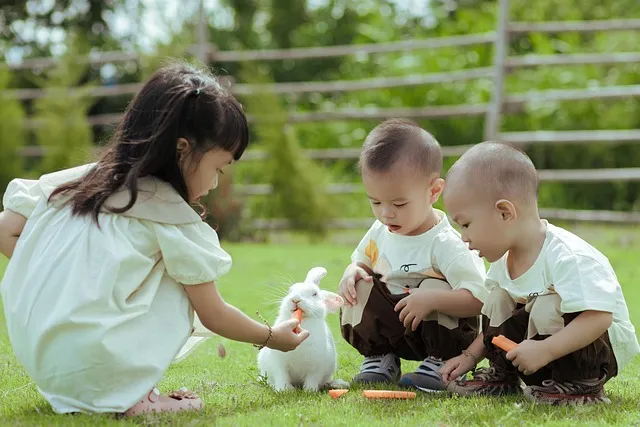 2025 어린이날 서울 행사 지역별 자치구별_4