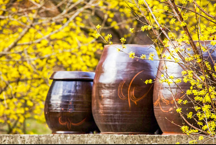 이천 산수유마을