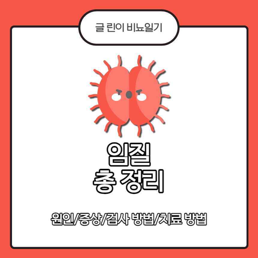  임질 총 정리