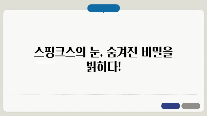스핑크스의 눈, 고대 이집트가 전하려는 메시지
