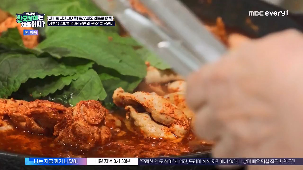어서와 한국살이는 처음이지.E17.230912p-NEXT.mp4_20230912_210348.050.jpg