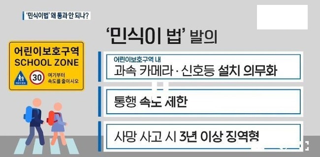  선진국 일본 일본인들의 횡단 보도& 교통 예절을 통해 본 헬조선 대한민국 희대의 악법 민식이 법의 올바른 예