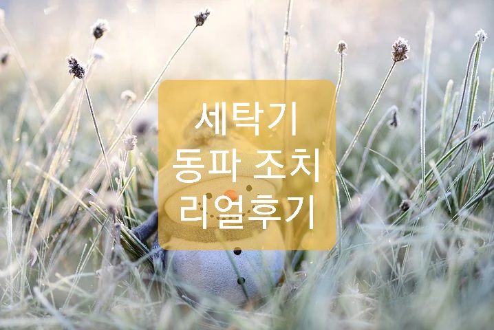  세탁기 동파 조치 후기