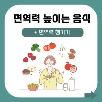  환절기 가을철 면역력 보강하기 위한 모든 먹거리 찾아보기