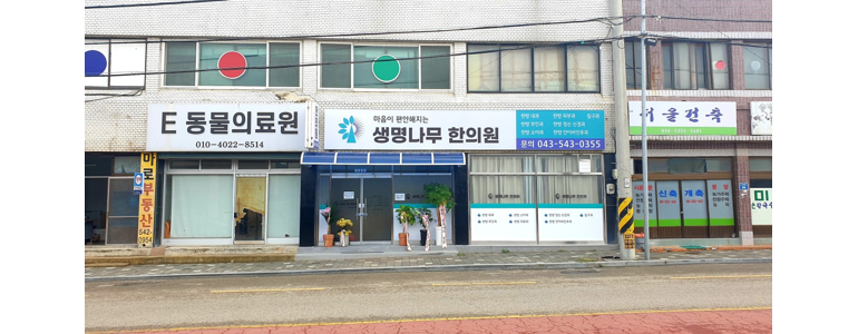 옥천군 한의원