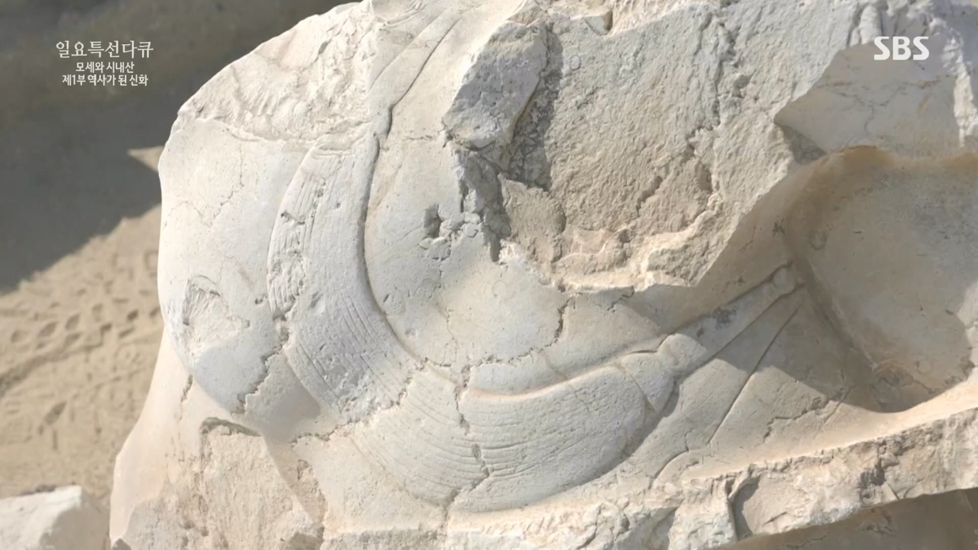 일요 특선 다큐멘터리.E342.240331p.H264-F1RST.mp4_20240406_165305.399.jpg
