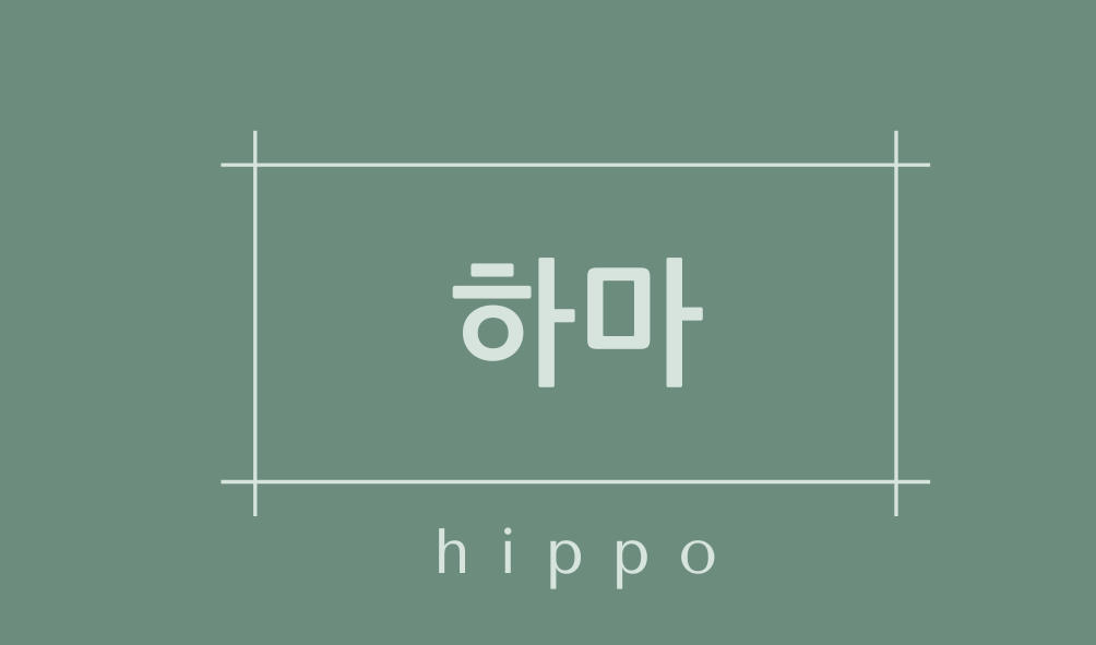 하마(hippo)