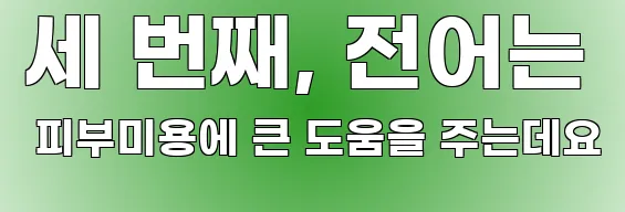 세 번째, 전어는 피부미용에 큰 도움을 주는데요