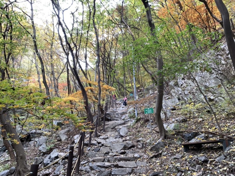 오서산 최단코스 [BAC 100대명산 / 보령 오서산 최단코스] 오서산자연휴양림 ~ 월정사