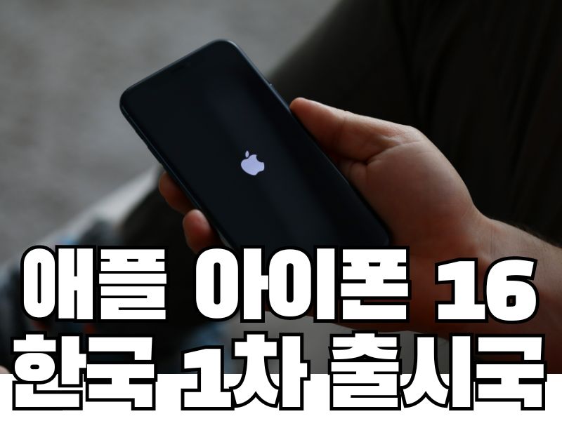 애플 아이폰 16
한국 1차 출시국
