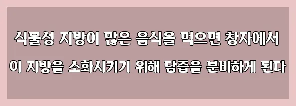  식물성 지방이 많은 음식을 먹으면 창자에서 이 지방을 소화시키기 위해 담즙을 분비하게 된다