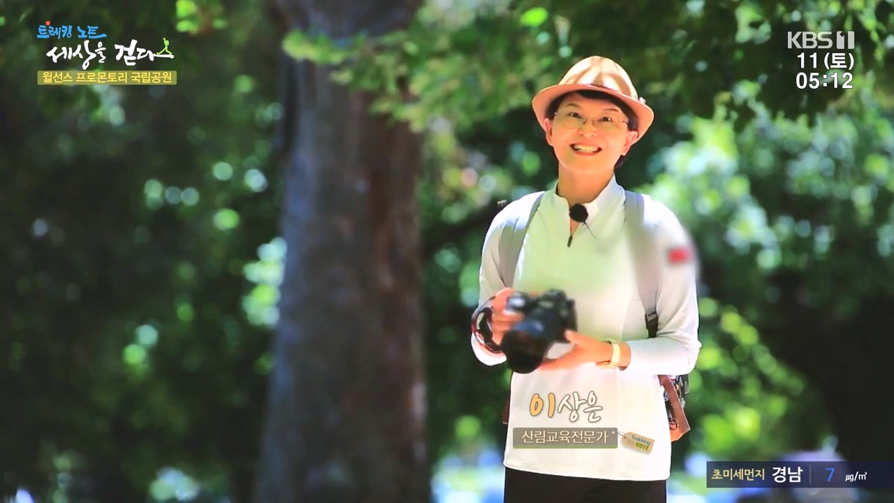 트레킹노트 세상을 걷다.E296.231112p-NEXT.mp4_20231111_174834.693.jpg