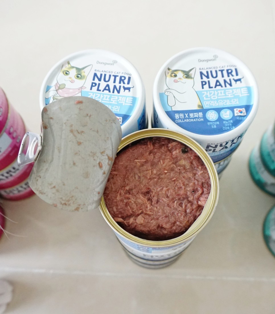 구냥이 고양이캔으로 네 건강관리해요 3
