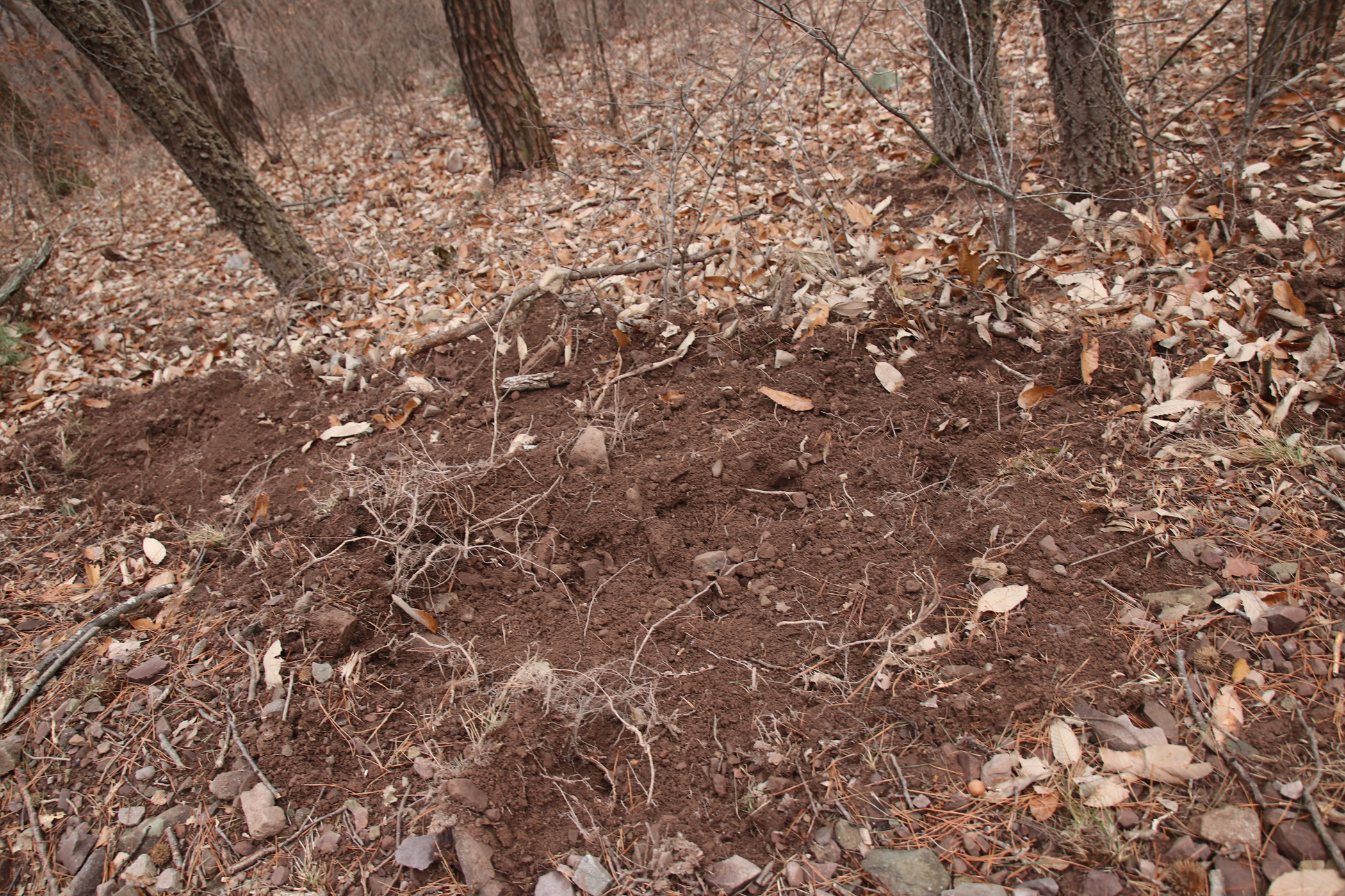경남 의령군 국사봉 05 58