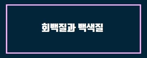  회백질과 백색질