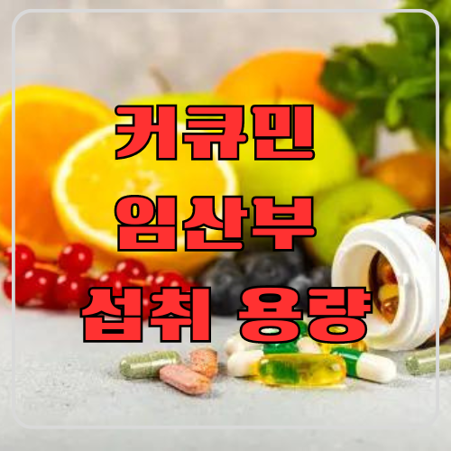 커큐민 임산부 섭취 용량