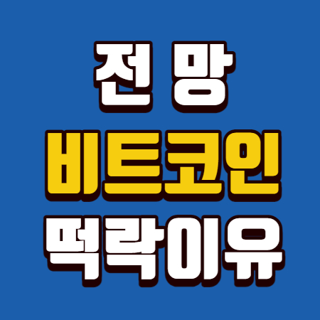  비트코인 전망 떡락이유